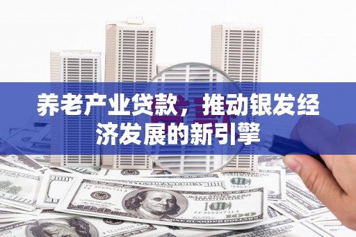 张北养老产业贷款，推动银发经济发展的新引擎