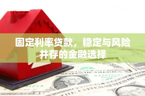 西夏固定利率贷款，稳定与风险并存的金融选择