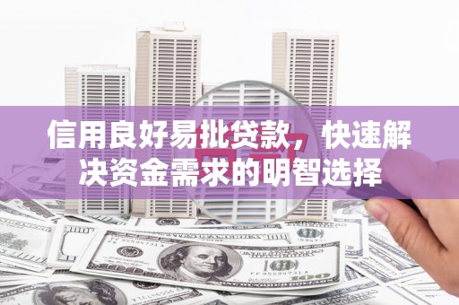 新林信用良好易批贷款，快速解决资金需求的明智选择
