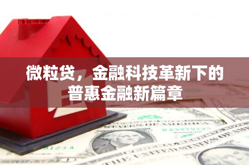 习水微粒贷，金融科技革新下的普惠金融新篇章