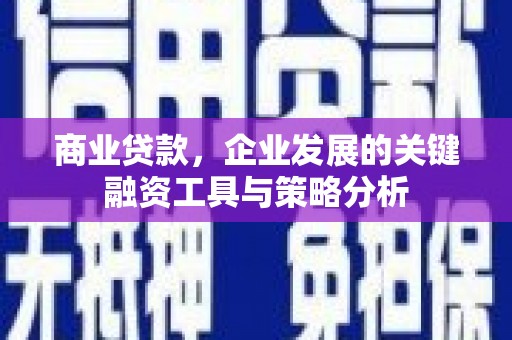 寿丰商业贷款，企业发展的关键融资工具与策略分析
