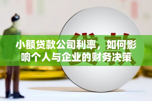 鱼峰小额贷款公司利率，如何影响个人与企业的财务决策