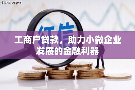 尼玛工商户贷款，助力小微企业发展的金融利器