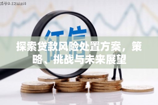 贡嘎探索贷款风险处置方案，策略、挑战与未来展望