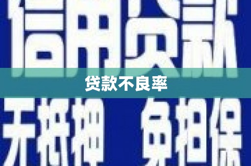 寿丰贷款不良率
