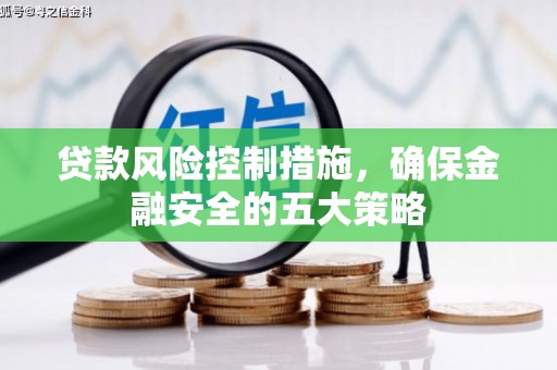 美浓贷款风险控制措施，确保金融安全的五大策略
