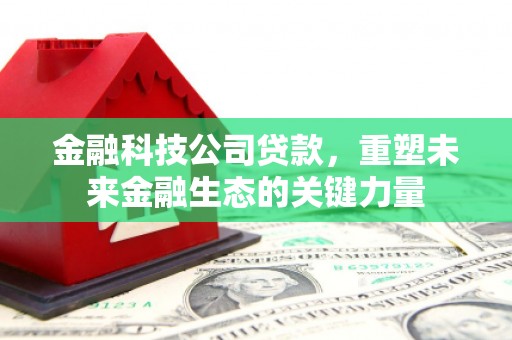 隆昌金融科技公司贷款，重塑未来金融生态的关键力量