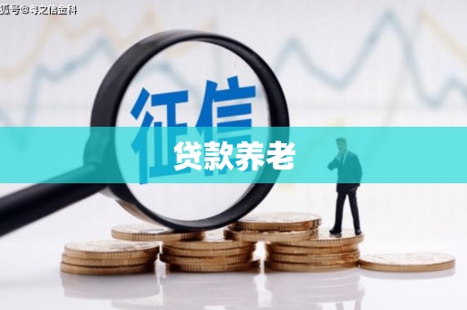 溧水贷款养老