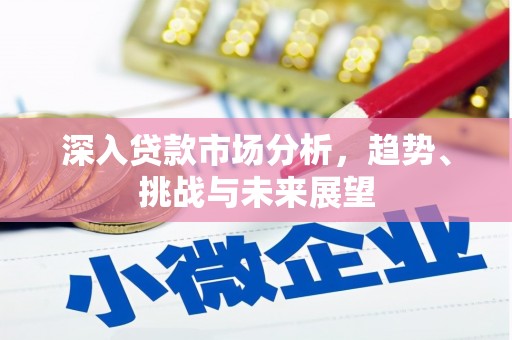南涧深入贷款市场分析，趋势、挑战与未来展望