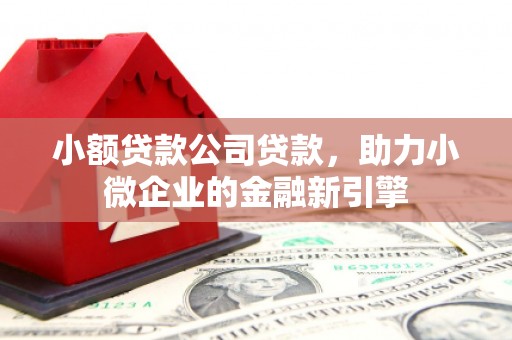 海晏小额贷款公司贷款，助力小微企业的金融新引擎