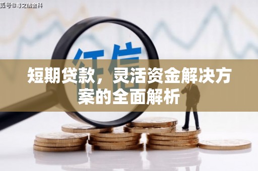 巴东短期贷款，灵活资金解决方案的全面解析