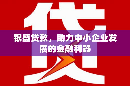 普兰店银盛贷款，助力中小企业发展的金融利器