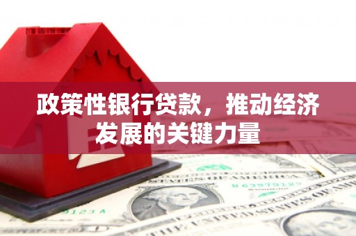 山东政策性银行贷款，推动经济发展的关键力量