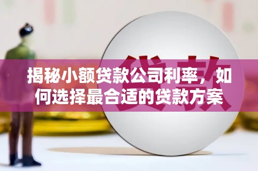 平乐揭秘小额贷款公司利率，如何选择最合适的贷款方案
