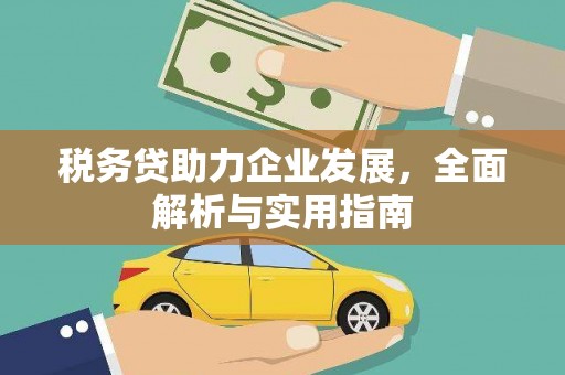 和田县税务贷助力企业发展，全面解析与实用指南