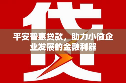 大厂平安普惠贷款，助力小微企业发展的金融利器