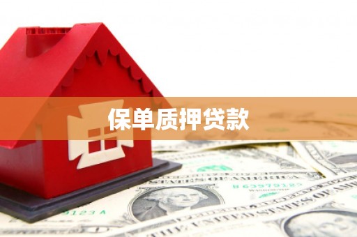定陶保单质押贷款