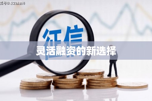 海安灵活融资的新选择