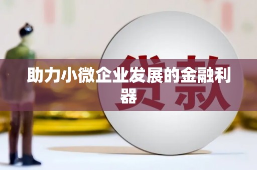 定结助力小微企业发展的金融利器