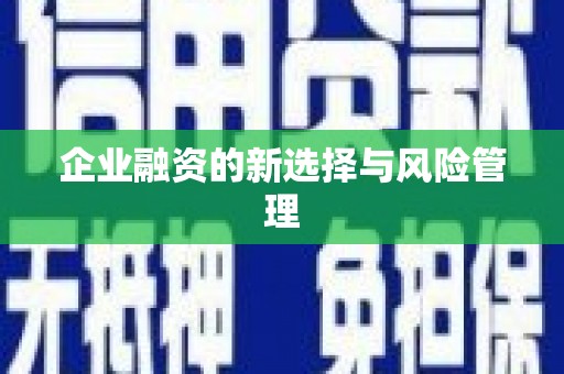 沙湾企业融资的新选择与风险管理