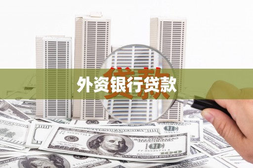 仁寿外资银行贷款