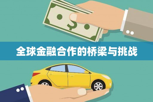 冕宁全球金融合作的桥梁与挑战