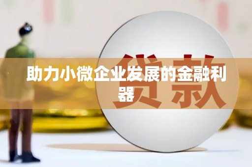 岱岳助力小微企业发展的金融利器