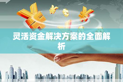 壮围灵活资金解决方案的全面解析