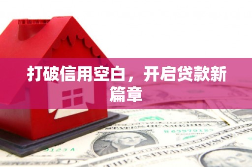 九龙城打破信用空白，开启贷款新篇章