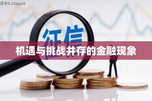 紫阳机遇与挑战并存的金融现象
